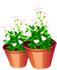 ֲ